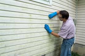 Best Aluminum Siding Installation  in Forest Lake, IL